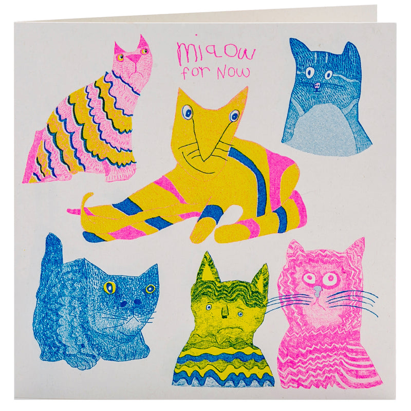 A white card with pink, yellow and blue hand drawn cats with the words Miaow for Now